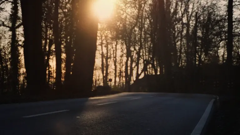 Die tiefstehende Sonne scheint durch die Bäume auf eine trockene Waldstraße in Deutschland.