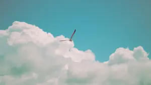 Eine Möwe gleitet frei durch einen weiten, hellblauen Himmel über flauschigen weißen Wolken.