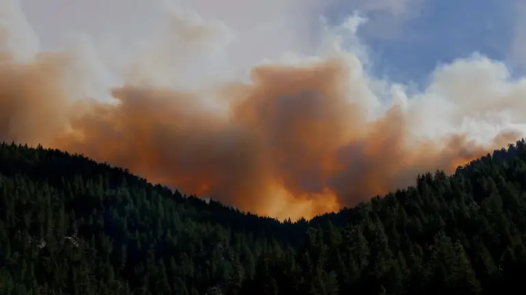 Heute Abend raus? Fünf-Minuten-Check für Wetter und Waldbrand