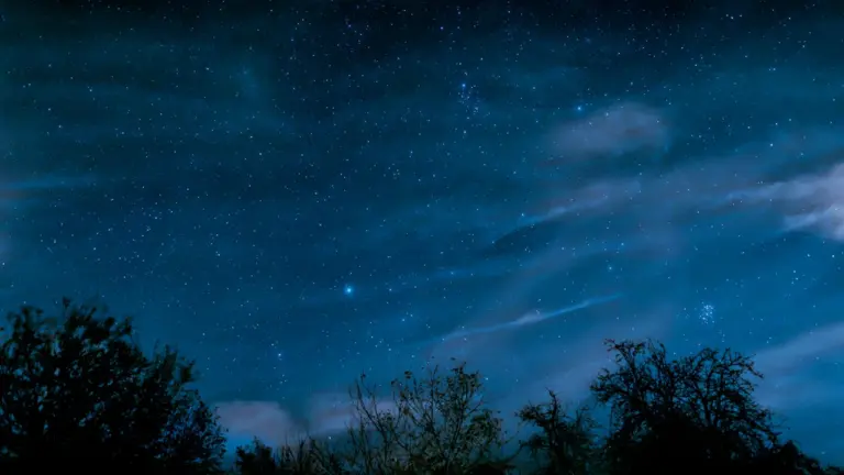 Sternenhimmel mit Bäumen in einer deutschen Nacht zur Beobachtung der Perseiden.