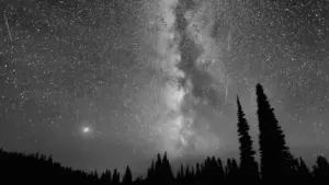 Silhouetten von Bäumen unter einem spektakulären Sternenhimmel mit sichtbarem Meteorstrom.
