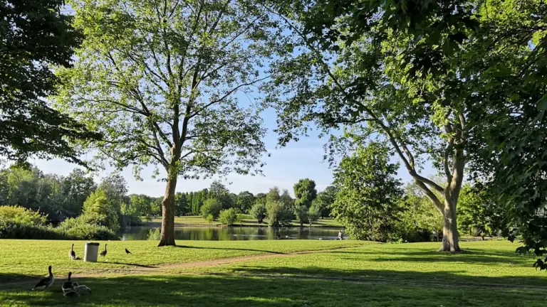 Ein friedlicher Park mit einem See und Bäumen im warmen Abendlicht.