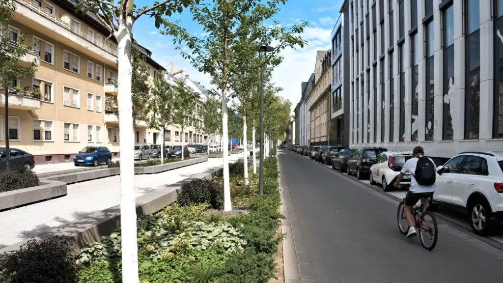 Ein Radfahrer fährt auf einer Straße neben einer Baumreihe in einer modernen städtischen Umgebung.