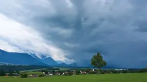 Dramatische Gewitterwolken über einer grünen Wiese mit Baum in Deutschland