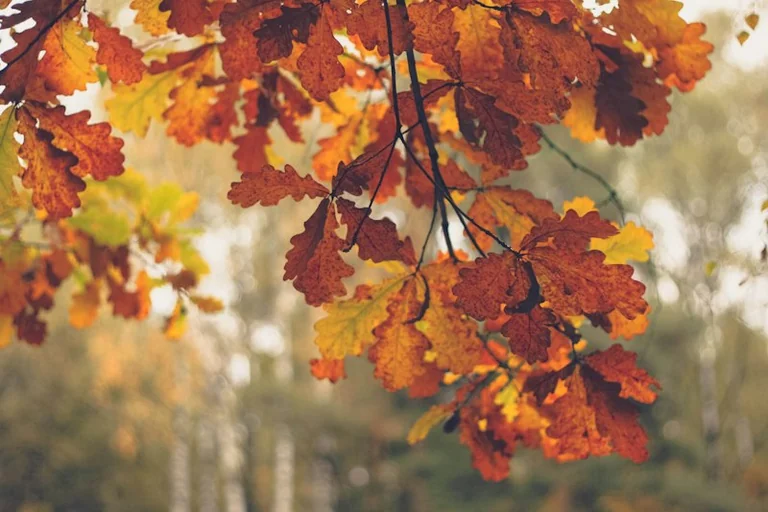Tageshoroskop am 28. Oktober: Kleine Schritte mit Bedacht